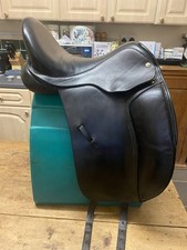 Beautiful Eloquence Black