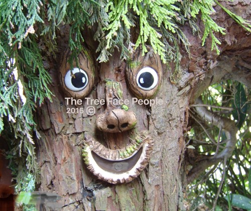 Outdoor tree decoration - outdoor, decoration,