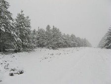 Photo 6x4 ride dunter law - photo,