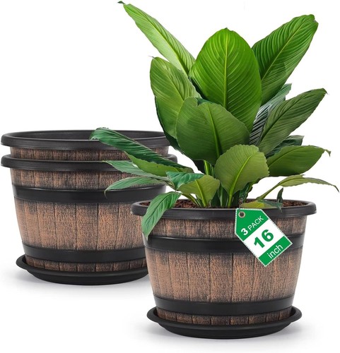 Quarut large plastic planters - large,
