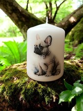 Tan French Bulldog puppy Dog
