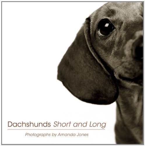 Dachshunds short and long - short,