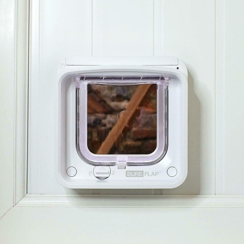 Sureflap microchip cat - cat, flap