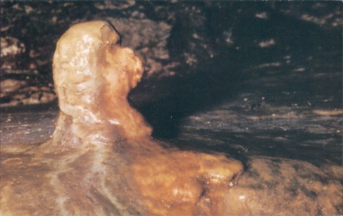 Ingleton white scar caves - ,