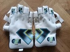 Gunn & Moore GM Aion Wicket