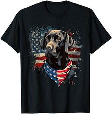 Black Labrador Retriever