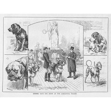 The Kennel Club Dog Show at The Alexandra Palace - Antique Print 1881