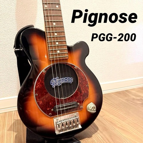 Pignose amp built electric - built-in,