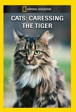 Cats: Caressing the Tiger -