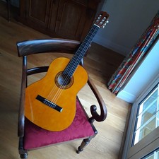 Florencia CG85 acoustic guitar, virtually brand new + Ritter back pack case.