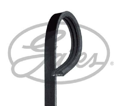 Original gates ribbed belt - original, v-ribbed