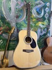 Freshman acoustic guitar - freshman,
