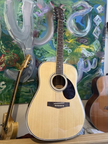 Freshman acoustic guitar - freshman,