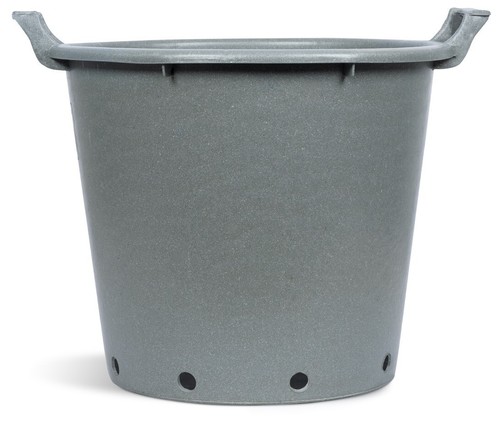Large plant pot with - plant, handles