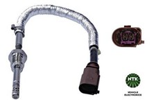 Brown Exhaust Gas Temperature