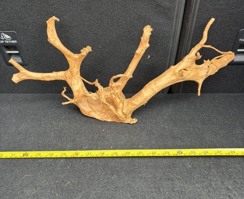 Aquarium natural driftwood - aquarium,