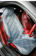 1x Luxury SILVER Quilt Cushion