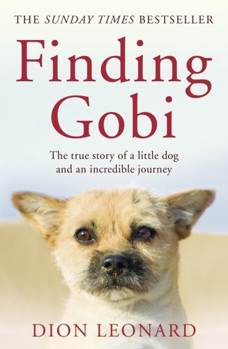 Finding gobi - finding, (paperback)