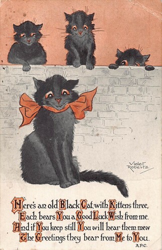 Postcard comic cat theme - ,