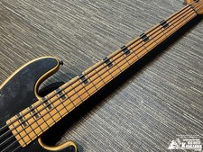 Schecter Model-T Session 5