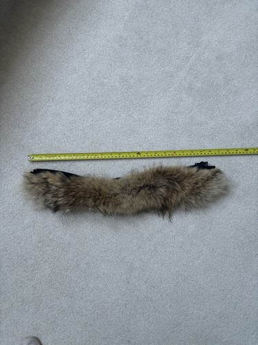 Canada goose fur trim - canada,