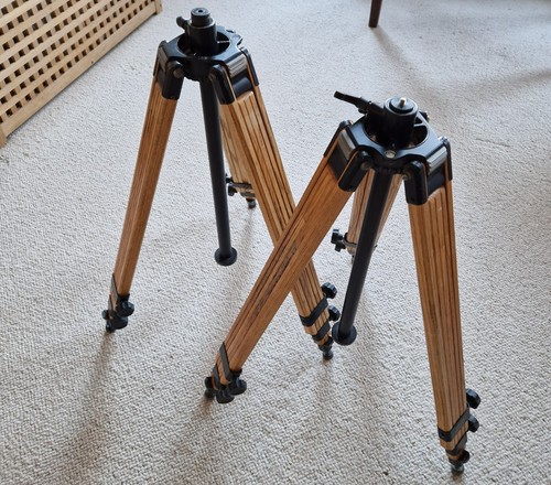 Pair berlebach solid wood - of,