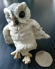 Small White Owl Leonardo Collection Cute Hedwig Harry Potter Nature Black Eyes 