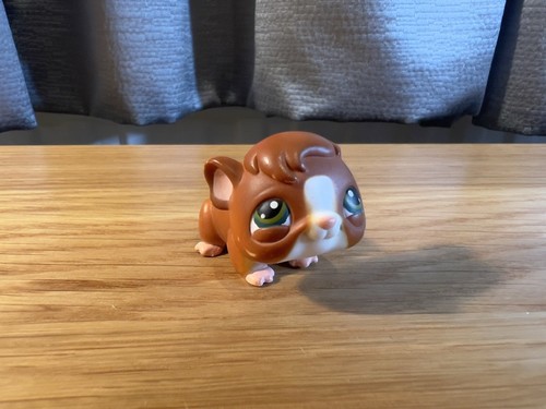 Littlest pet shop guinea - shop, #4
