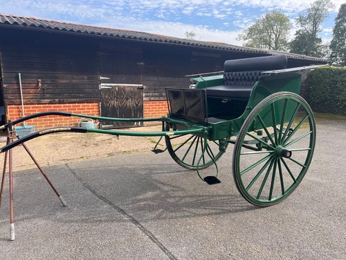 Horse rally cart - horse,