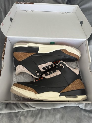 Jordan desert elephant size - 3,
