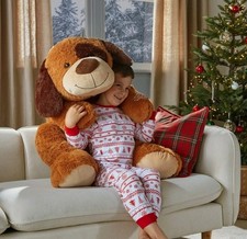 Freddie The Floppy Brown Dog