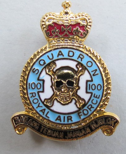 Enamel pin badge royal air - q/c,