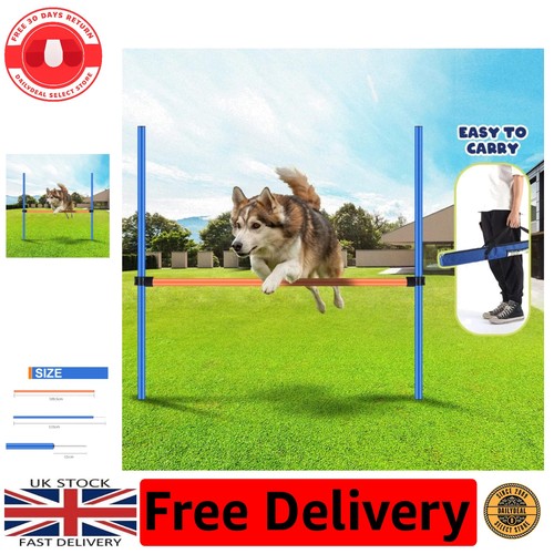 Comprehensive dog agility - comprehensive,