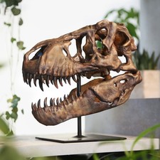 Tyrannosaurus Rex Skull Hand