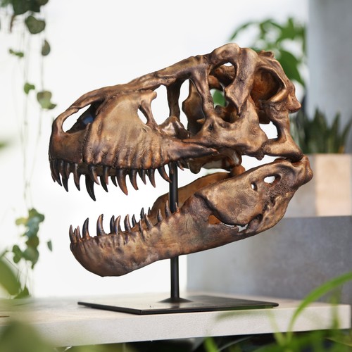 Tyrannosaurus rex skull hand - tyrannosaurus,