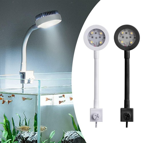 Small fish tank light aquarium - fish,