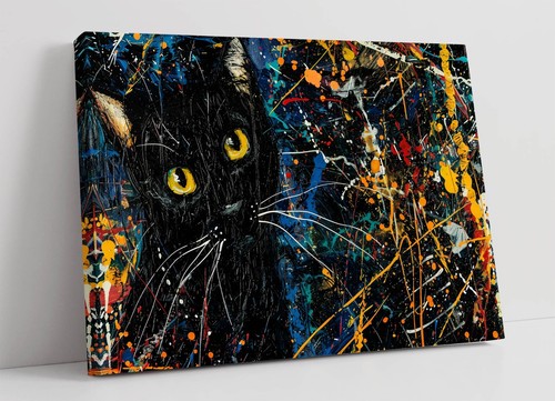 Cute black cat jackson - jackson, pollock
