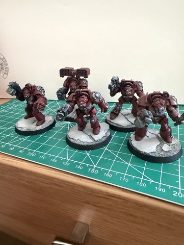 Blood angels terminators - blood,