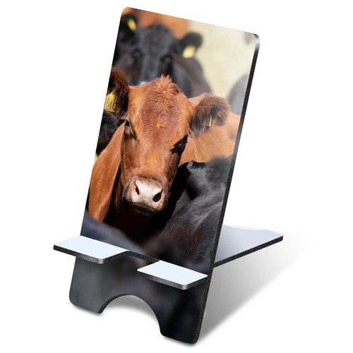 Mdf mobile phone stand - phone,