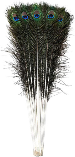 Trimming shop real peacock - trimming,