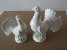 2  x  Ornamental  Doves