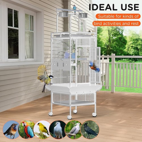 Large cage - open, playtop