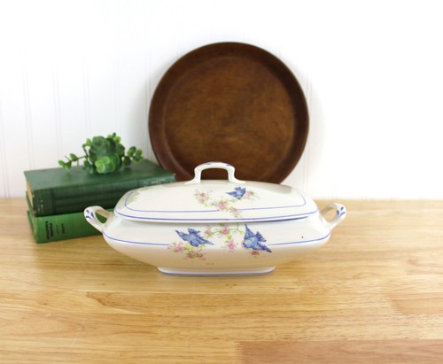 Ironstone bluebird china - 11'',