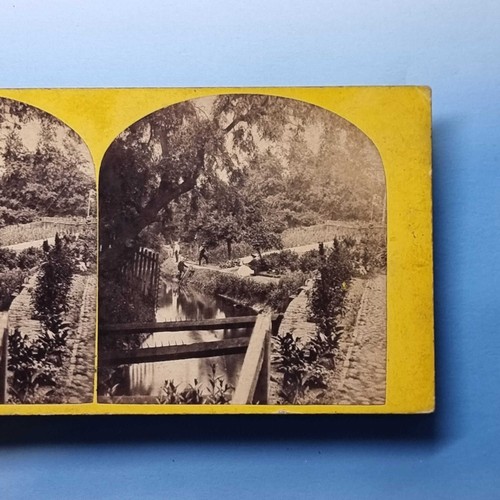 Kings lynn stereoview c1870 - lynn,