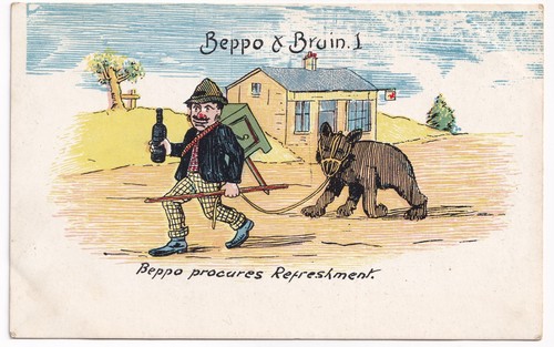 Beppo bruin organ - beppo,