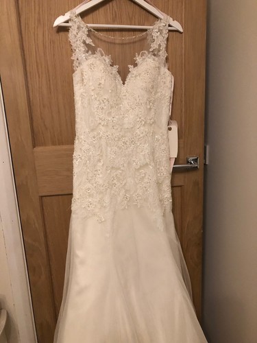 Charlotte balbier wedding - charlotte,