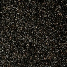 NIGER SEED WILD BIRD NIGER SEED