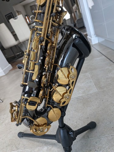 Trevor james black nickel - james, sr