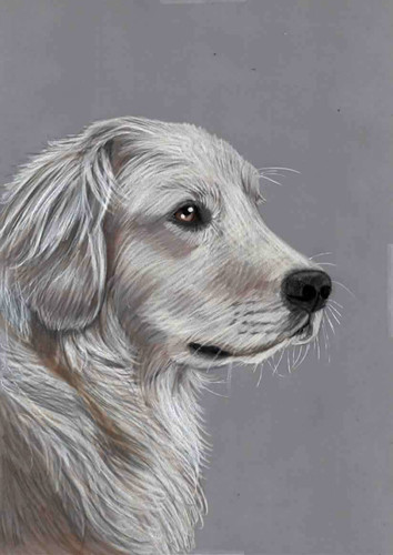 Original colour pencil artwork - original,