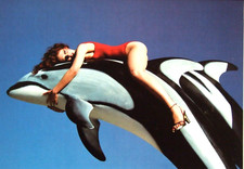 Guy bourdin mounted photo - mounted,